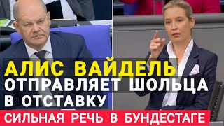 Germany's Alice Weidel in the Bundestag dismisses Scholz. Strong speech blew up the Bundestag