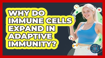 Why Do Immune Cells Expand In Adaptive Immunity? - All About the Immune System