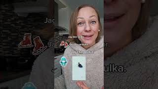 Vad gör du i vinter? #studyswedish, #learnswedish, #easyswedish, #studerasvenska,