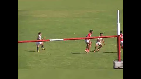 Juan Pablo Macedo highlights