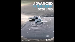 Outdoor Testing of Autonomous Walking Robot