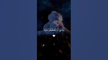 ثق بالله.. لا بما تشعر 🤍| #قرآن #تلاوة_خاشعة #راحة_نفسية #احمد_العجمي #اكسبلور #تابعوني #لايك
