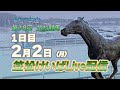 笠松けいばライブ配信R8.2.2
