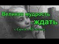 Стихотворение &quot;Великая мудрость - ждать...&quot; - Лариса Меженина