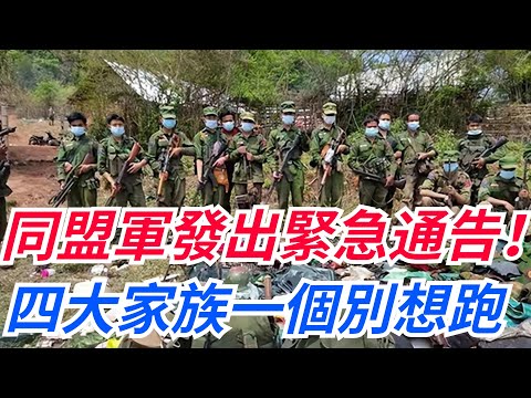 同盟軍發出緊急通告！震動果敢，收網在即，四大家族一個別想跑！【愛史說】#同盟軍#果敢#四大家族