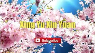 Cecilia Cheung - Xing Yu Xin Yuan