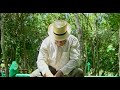 Capture de la vidéo Polo Montanez - Un Monton De Estrellas [Official Music Video]