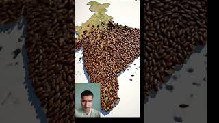 #CockroachJanataParty#CockroachParty#CockroachArmy#CockroachViral#CockroachReels#Viral