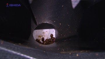 Dates multihead weigher and distribution system