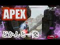 【Apex】良いポジとって勝つ【野良】
