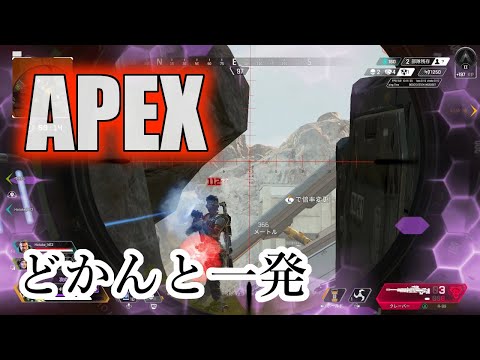 【Apex】良いポジとって勝つ【野良】