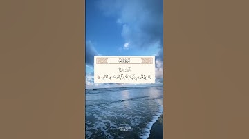 القارئ سعد الغامدي| سوره الرعد