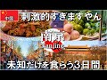 【中国ひとり旅】未知のものだけを食らう南京での3日間が刺激的、中国人の親切さに助けられ、謎のオバサンに絡まれる #海外一人旅 #旅行 #travel #中国 #中国美食 #china