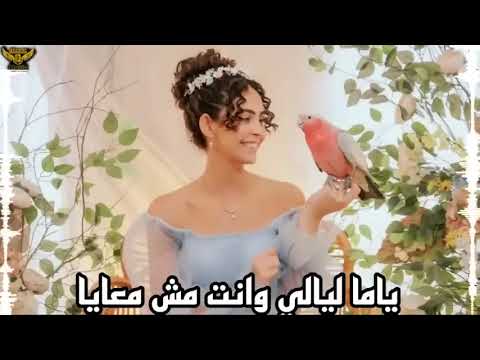 اغنية ياما ليالي وانت مش معايا