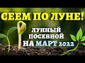 ТОЧНЫЙ ЛУННЫЙ ПОСЕВНОЙ КАЛЕНДАРЬ НА МАРТ 2022 по дням  #лунныйпосевнойкалендарь #март2022