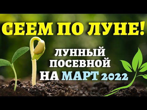 Видео: Лунният календар за сеитба за 2020 г. за Московска област