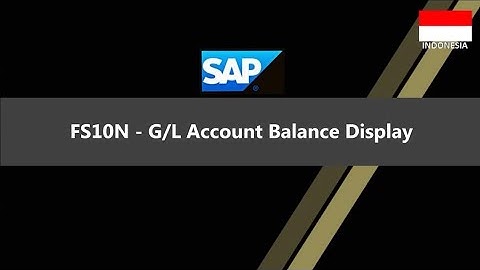 SAP FS10N - G/L Account Balance Display