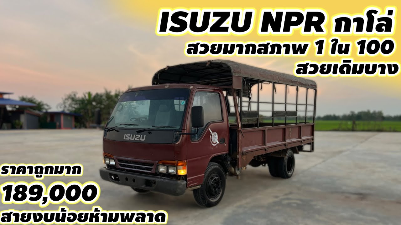 ISUZU NPR กาโล่สวยมากสภาพ 1 ใน 100 สวยเดิมบางราคาถูกมาก189,000สายงบน้อยห้ามพลาด#รถ6ล้อราคาถูก