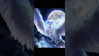 2022 owl and 3000 years ago | mythology shorts viral video