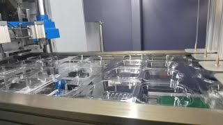 Three Station Plastic Thermforming Machine for producing PET Hinged Box