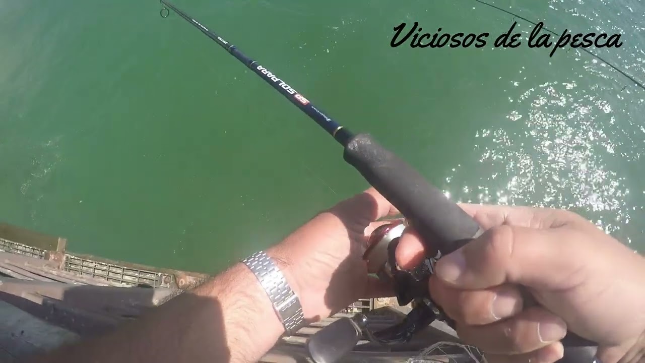 Aprendiendo a pescar Pejerrey de Mar