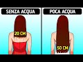 CuriositÃ  sul Corpo Umano da Cinque Secondi per Stupire gli Amici Durante le Chiacchierate