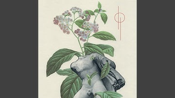 The Seed