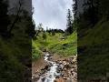 Mountain’s Heartbeat 💚🏞️ #stillwalk #himachalpradesh #india #nature #mountainwater #dailyshorts