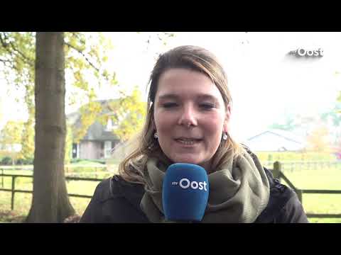 Springruiter uit Wierden aangehouden door FIOD