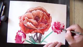 Как нарисовать маки акварелью поэтапно/How to draw a poppy in watercolor stage by stage Как нарисовать маки акварелью поэтапно/How to draw a poppy in watercolor stage by stage