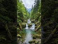 Peaceful Forest River Sounds 🌿 Relaxing Waterfall &amp; Nature Ambience for Sleep, Study &amp; Meditation