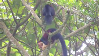 Malayalam Nostalgia Song Syama Sundara Kera Kedara Bhoomi Kerala Gods Own Country Asianet