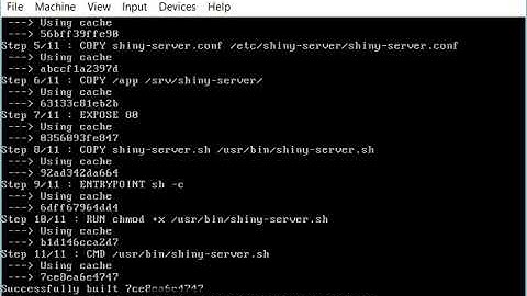 NSA Project - Deploying Shiny App Using Docker
