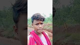 Napelsaparladosponamsoren