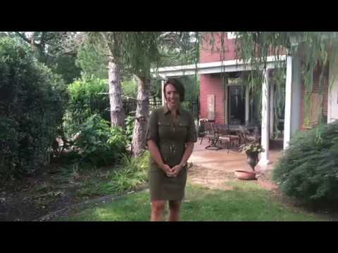 16 W Wimbledon Way, Rogers, AR home video tour