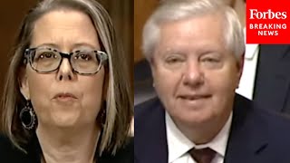 'Are You Familiar With The Corrupt Bargain': Lindsey Graham Grills Biden Judicial Nominee