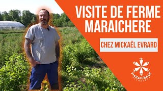 Visite de ferme maraichère : Chez Mickaël Evrard. Maraicher Bio dans la Somme