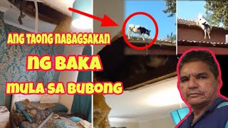 Ang kwento ng taong nabagsakan ng baka mula sa bubong ng kanilang bahay | Pag oras mo na oras mo na