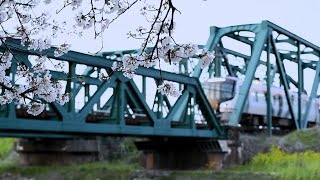 HC85系ひだ36号 D100編成2両 2024.04.04 ＠長良川橋梁
