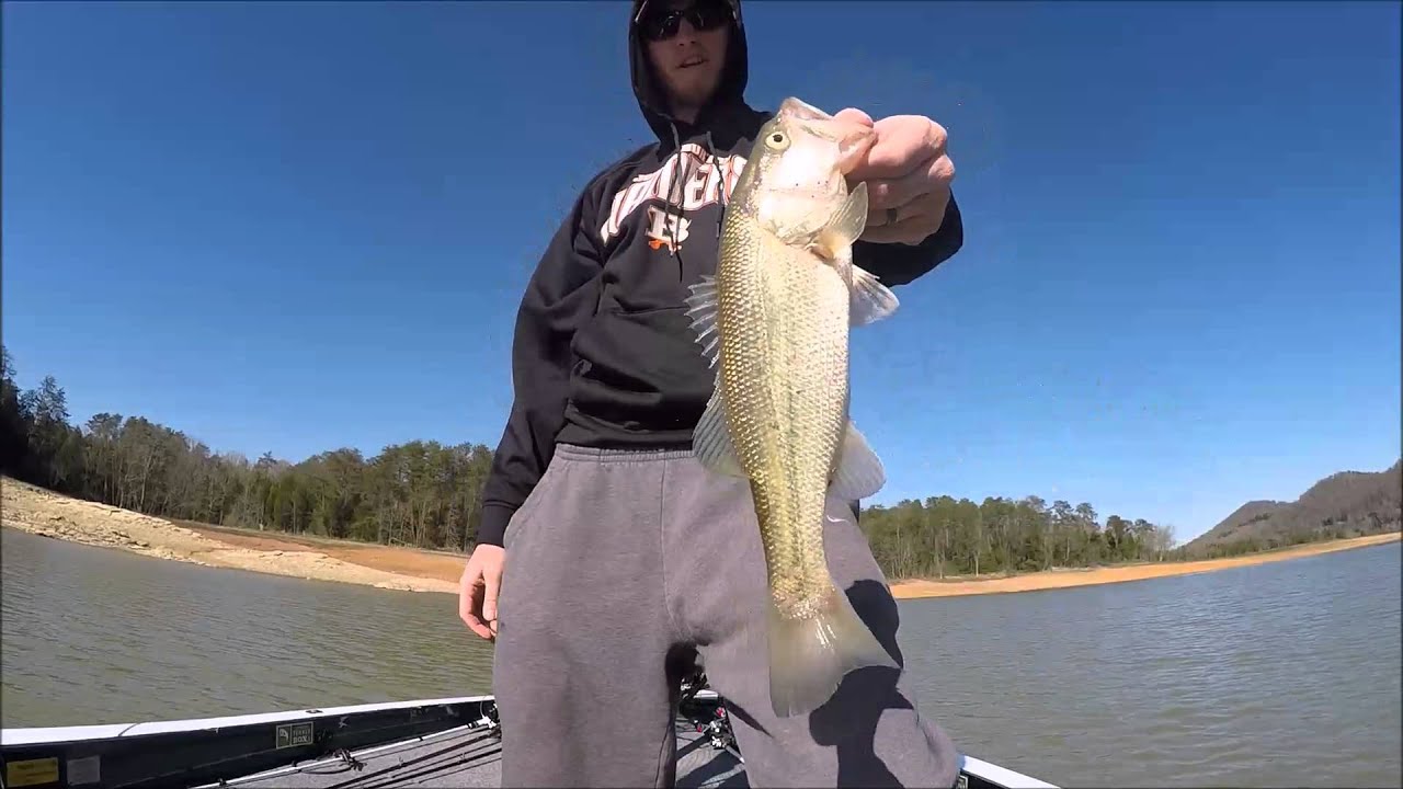 Cherokee Lake PreSpawn Action S2E3 YouTube