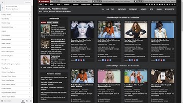 Customizer Theme Options - GridNext PRO WordPress Theme