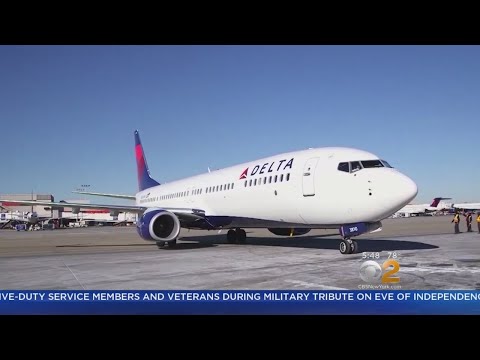 Video: Delta Air Lines Inflight-mellanmål Fick Denna Resenär 500 Dollar I Böter Vid Tullen