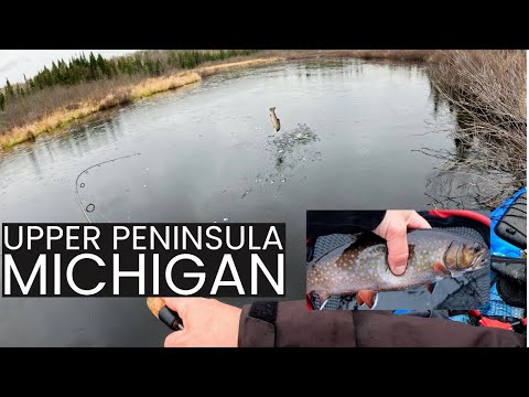 UP Michigan | Monster brooktrout