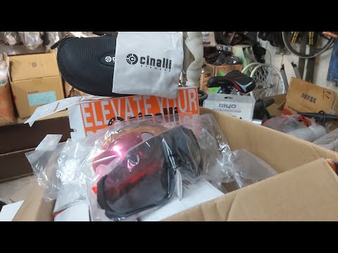 CINALLI SHADES | QUICKEST CHANGE LENSE