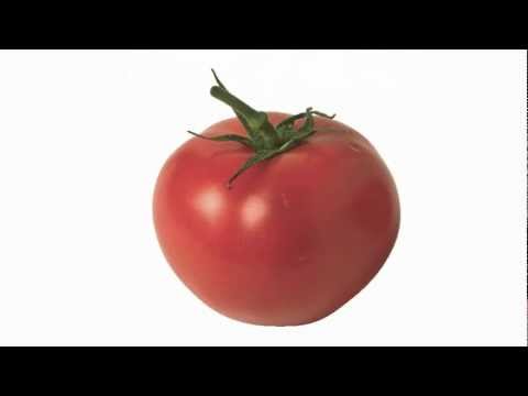 Video: Wie signiert man Tomaten in ASL?