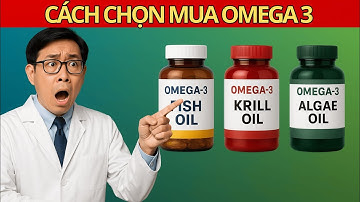ĐỪNG LÃNG PHÍ – Đây mới là loại Omega-3 tốt nhất cho bạn