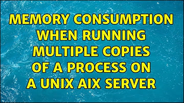 Memory consumption when running multiple copies of a process on a UNIX AIX server