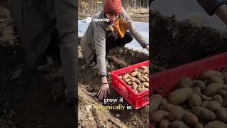 Grow Your Own Food Crisis Resistance & Healthy Living 1