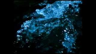 Sand Circles - Stellar Waves (Stan Brakhage - Comingled Containers)