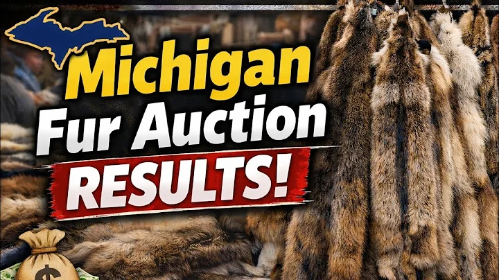 Michigan Fur Auction Results! 2025-2026 Season 